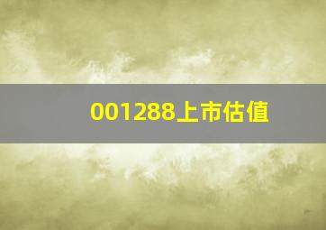 001288上市估值