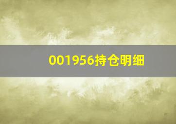 001956持仓明细