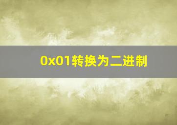 0x01转换为二进制