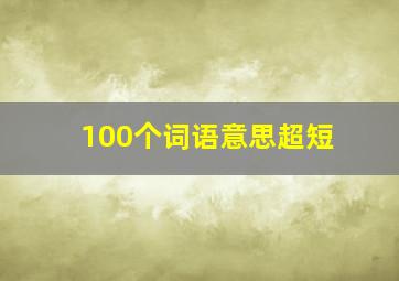 100个词语意思超短