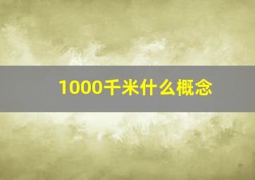 1000千米什么概念