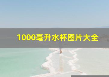 1000毫升水杯图片大全