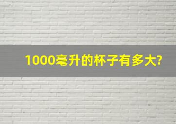 1000毫升的杯子有多大?