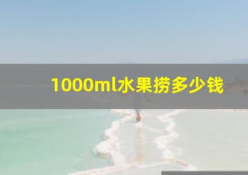 1000ml水果捞多少钱