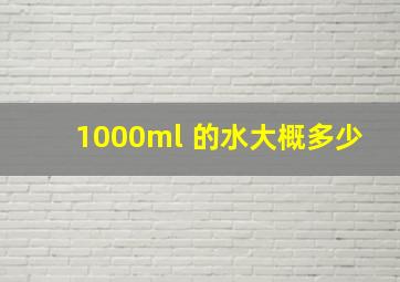 1000ml 的水大概多少