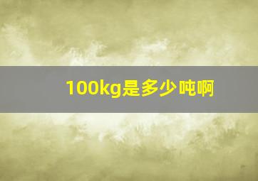 100kg是多少吨啊