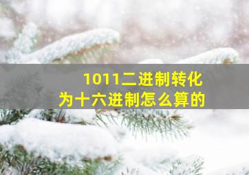 1011二进制转化为十六进制怎么算的