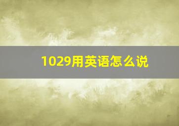 1029用英语怎么说