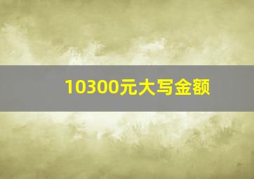 10300元大写金额