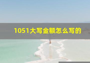 1051大写金额怎么写的