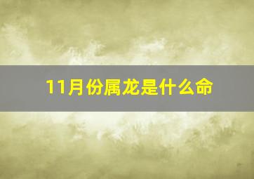 11月份属龙是什么命