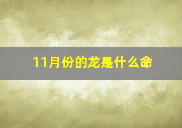 11月份的龙是什么命