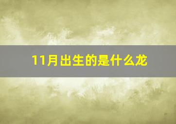 11月出生的是什么龙