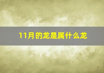 11月的龙是属什么龙