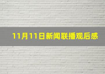 11月11日新闻联播观后感