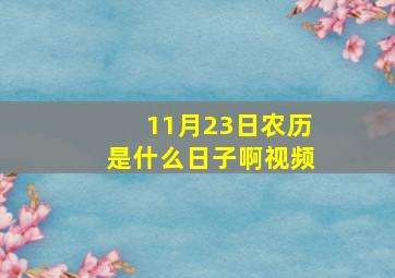 11月23日农历是什么日子啊视频