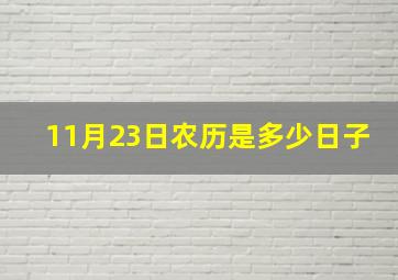 11月23日农历是多少日子