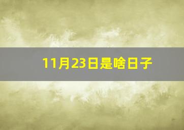 11月23日是啥日子