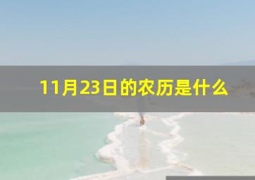 11月23日的农历是什么