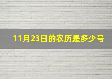 11月23日的农历是多少号