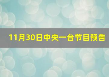 11月30日中央一台节目预告