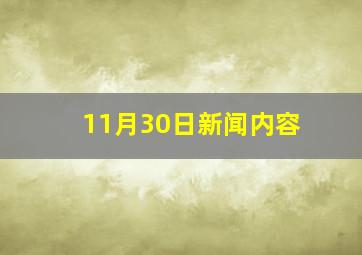 11月30日新闻内容