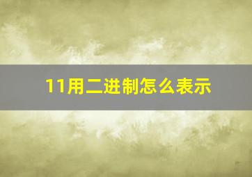 11用二进制怎么表示