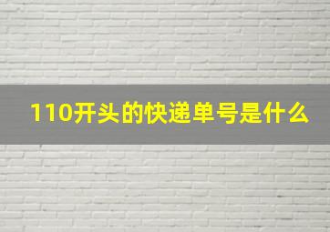 110开头的快递单号是什么