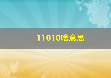 11010啥意思