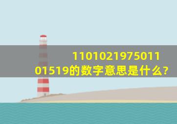 110102197501101519的数字意思是什么?