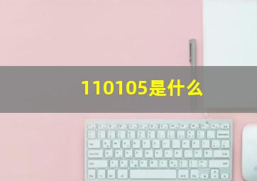 110105是什么