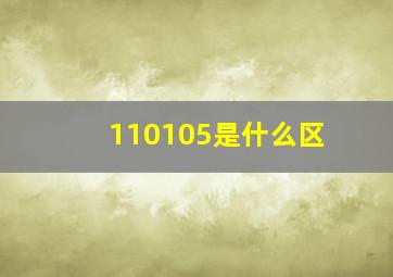 110105是什么区