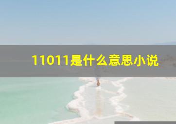 11011是什么意思小说