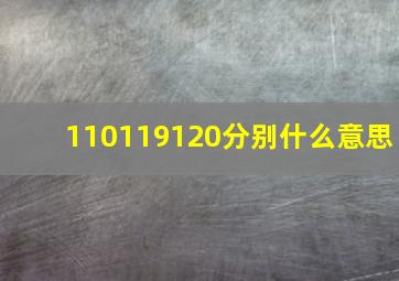 110119120分别什么意思