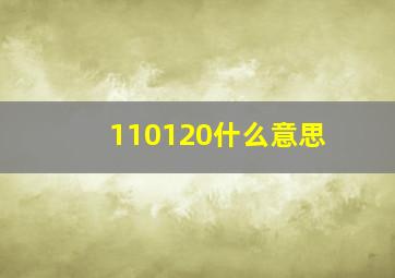 110120什么意思