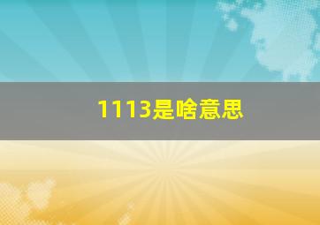 1113是啥意思