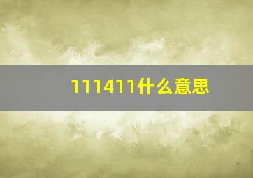 111411什么意思