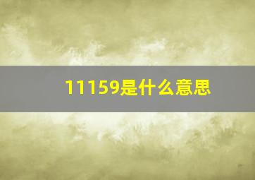 11159是什么意思