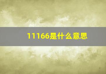 11166是什么意思