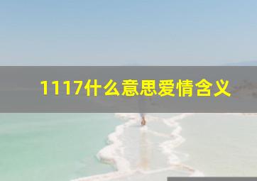 1117什么意思爱情含义