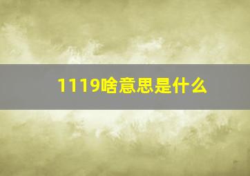 1119啥意思是什么