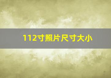 112寸照片尺寸大小