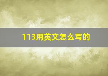 113用英文怎么写的