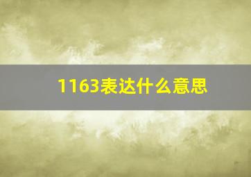 1163表达什么意思