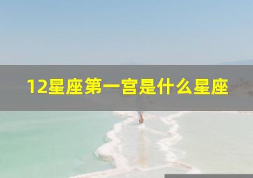 12星座第一宫是什么星座