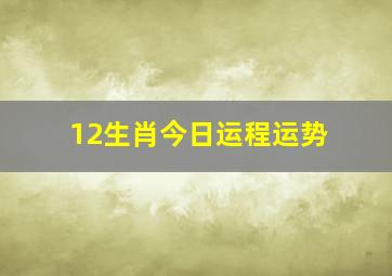 12生肖今日运程运势