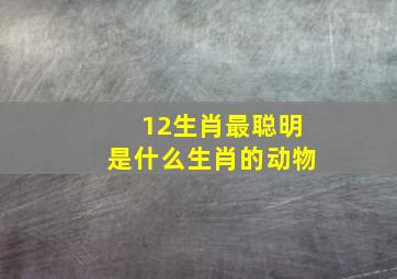 12生肖最聪明是什么生肖的动物