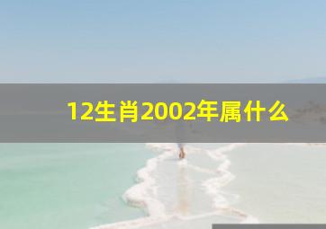 12生肖2002年属什么