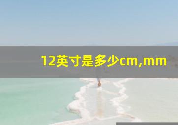 12英寸是多少cm,mm