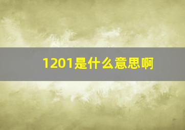 1201是什么意思啊